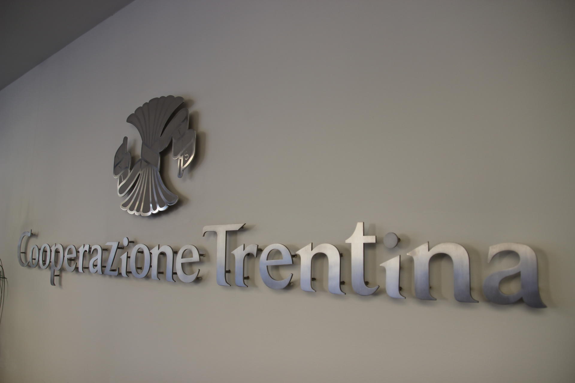 Fiducia e solidarietà della Federazione nei confronti delle cooperative coinvolte nell'inchiesta. Mattarei: &quot;Abbiamo appreso la notizia con sorpresa, in quanto non emergono fatti o nomi di persone collegati al movimento cooperativo&quot;. Gravi danni di reputazione.Le dichiarazioni dei presidenti di Sant'Orsola e Mezzacorona