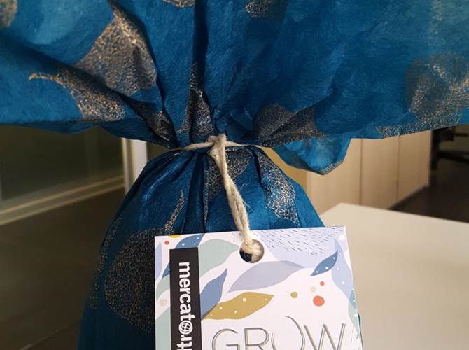 Pasqua 2021: le uova di cioccolato di Mandacarù rispettano ambiente e diritti umani Nel mondo sono almeno 152 milioni i minori con un’età tra i 5 ed i 17 anni, vittime di sfruttamento, coinvolti spesso in attività faticose e pericolose. Le uova di cioccolato di Mandacarù rispettano ambiente e diritti umani.