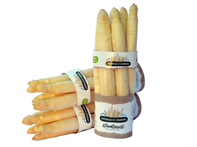 La Trentina: grande successo per la campagna vendite dell'asparago di Zambana Si temeva una stagione di estrema difficoltà, ma grazie al sistema Apot – La Trentina, la commercializzazione e promozione dell’asparago di Zambana ha ottenuto risultati eccellenti, con un liquidato al socio sulla categoria extra pari a circa 6,50 euro.