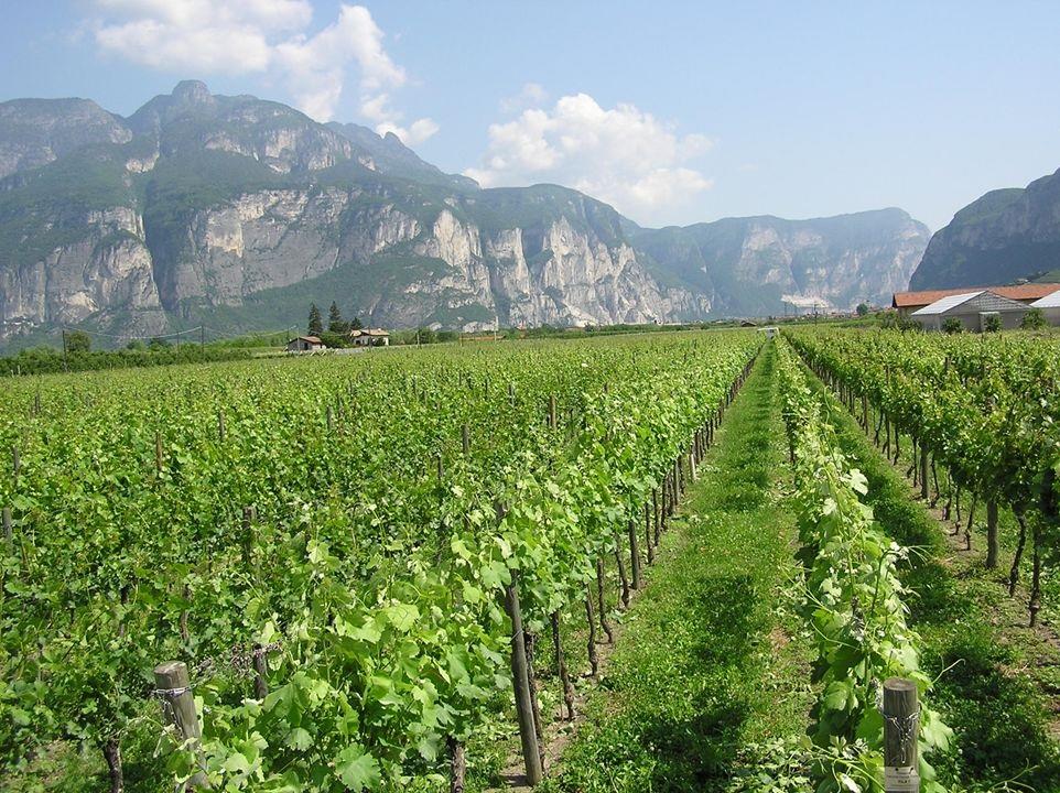 Venerdì 22 maggio si celebra in tutto il mondo la giornata  della biodiversità.