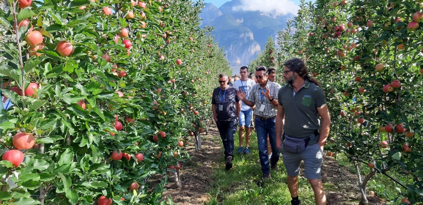 Le sperimentazioni condotte dalla Fondazione Edmund Mach nel comparto frutticolo sono al centro delle porte aperte che si sono svolte oggi a Maso delle Part, a Mezzolombardo. L’azienda ha ospitato il consueto incontro annuale di presentazione dei principali risultati delle prove nella frutticoltura di fondovalle.  Massiccia anche quest'anno la partecipazione con oltre 350 frutticoltori presenti.