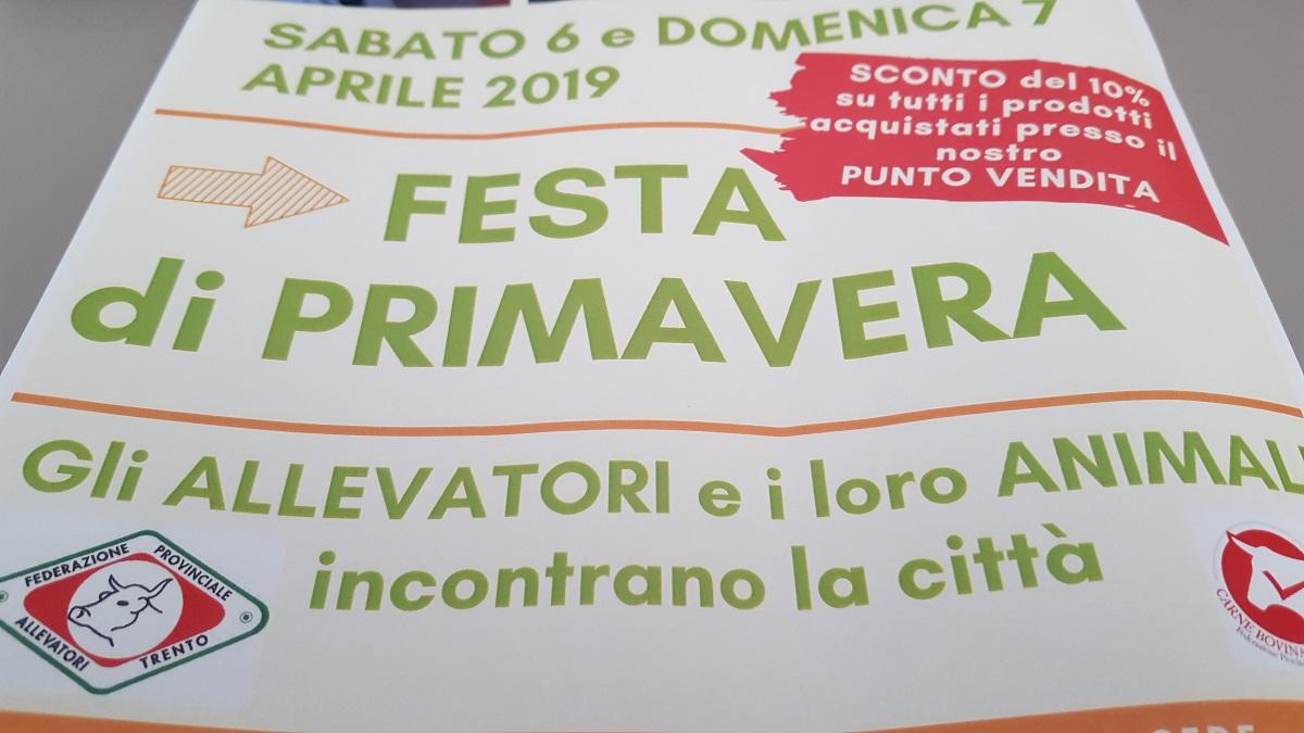 Il prossimo fine settimana, sabato 6 e domenica 7 aprile, gli allevatori trentini incontrano la città nella tradizionale due giorni della “Festa di Primavera”. La presentazione nella conferenza stampa di oggi ospitata alla sede della Federazione Provinciale Allevatori.