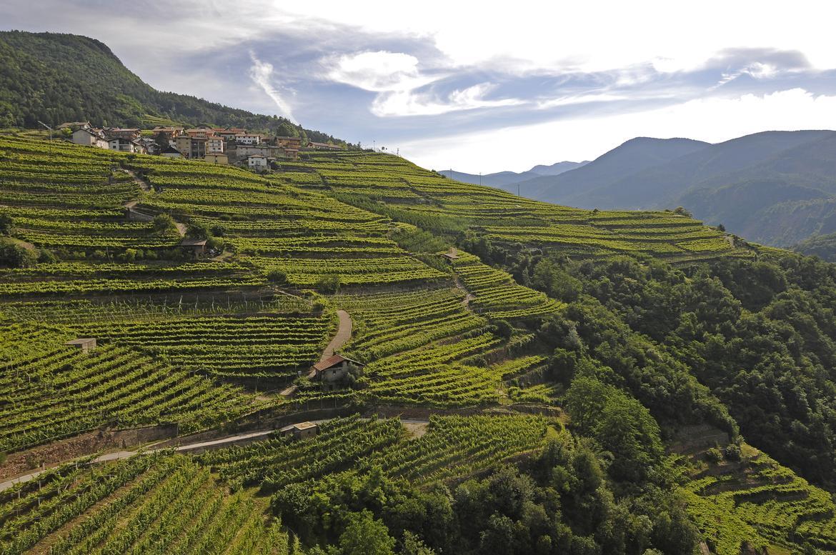 Il paesaggio rurale dei &quot;Vigneti terrazzati della Valle di Cembra&quot;, che rappresenta il massimo della &quot;viticoltura eroica&quot;, il &quot;Sistema agricolo terrazzato della Val di Gresta&quot;, esempio di agricoltura sostenibile, e gli &quot;Alti pascoli della Lessinia&quot; fra Trentino e Veneto, che incantano per i paesaggi lunari, fanno ufficialmente parte, da pochi giorni, del Registro nazionale dei paesaggi rurali storici.