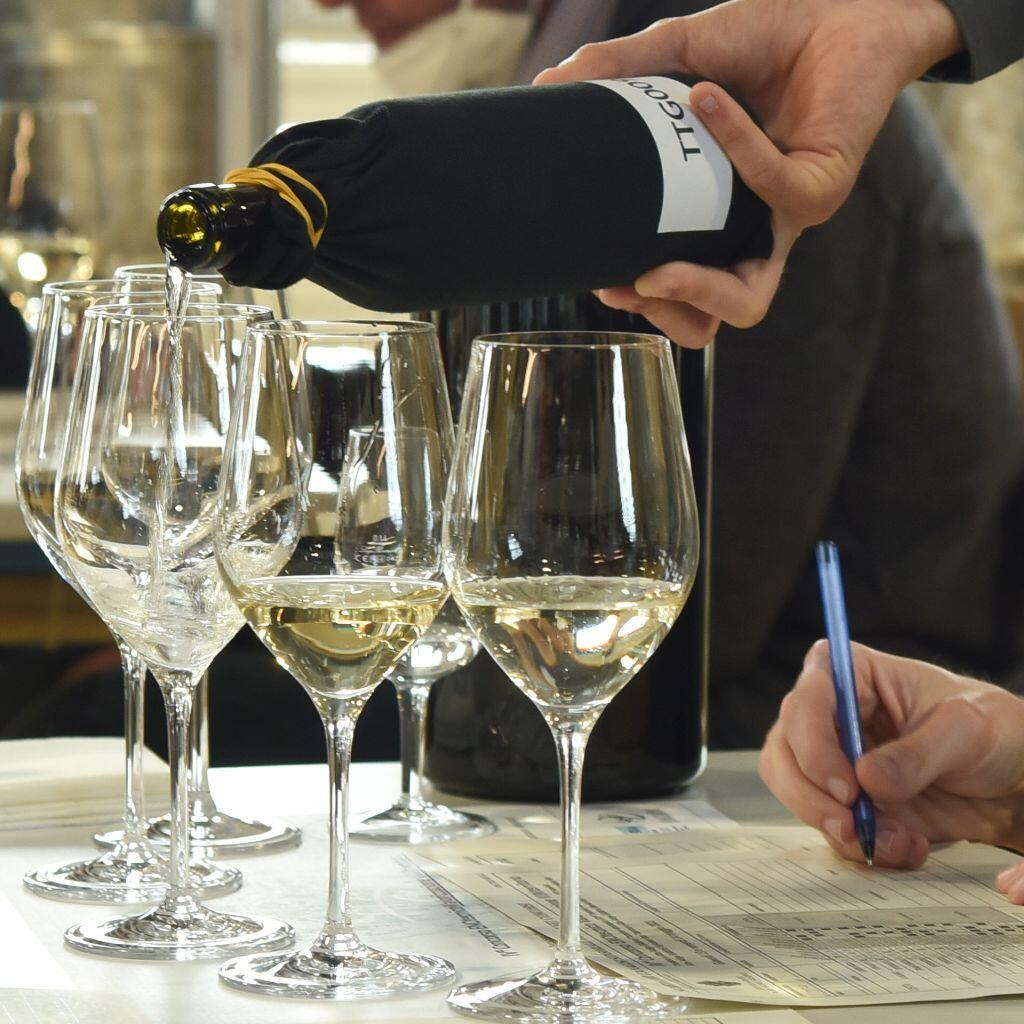 Al via alla Fondazione Edmund Mach il concorso che valuterà i prodotti di oltre 70 cantine trentine e altoatesini.