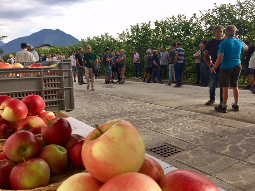 Successo alla giornata tecnica dedicata alla frutticoltura di montagna a Maso Maiano di Cles.