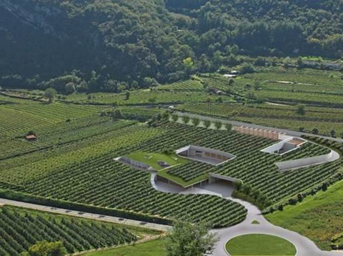 Cantina Mori Colli Zugna viaggia verso la vendemmia record   Qualità e quantità caratterizzano la vendemmia della cantina cooperativa che ha preso il via nella seconda quindicina di agosto e si concluderà tra una decina di giorni. Cantina aperta anche di domenica per il conferimento.Da una prima stima si dovrebbero superare gli 85mila quintali. Un vero e proprio record per la Cantina e i suoi 600 viticoltori soci.