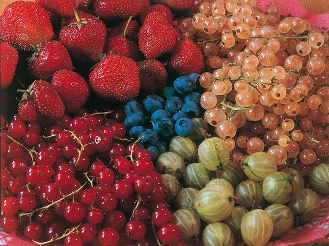 Sabato 1 giugno 2019, alle 16.30, presso il Villaggio dei Piccoli Frutti a Pergine Valsugana, Sant’Orsola propone un convegno per parlare di produzione italiana ed internazionale dei piccoli frutti ed evoluzione del mercato
