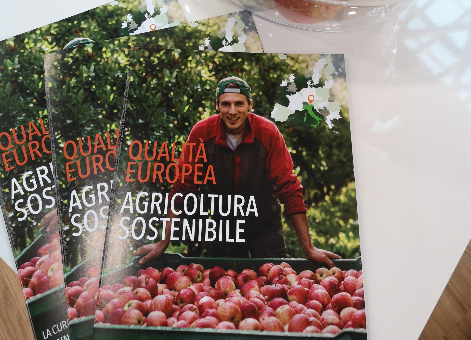 L’Associazione Italiana Produttori di Mele lancia la campagna di in-formazione KNOWING EUROPEAN APPLE volta a migliorare e diffondere una corretta conoscenza del prodotto mela in Italia e Spagna