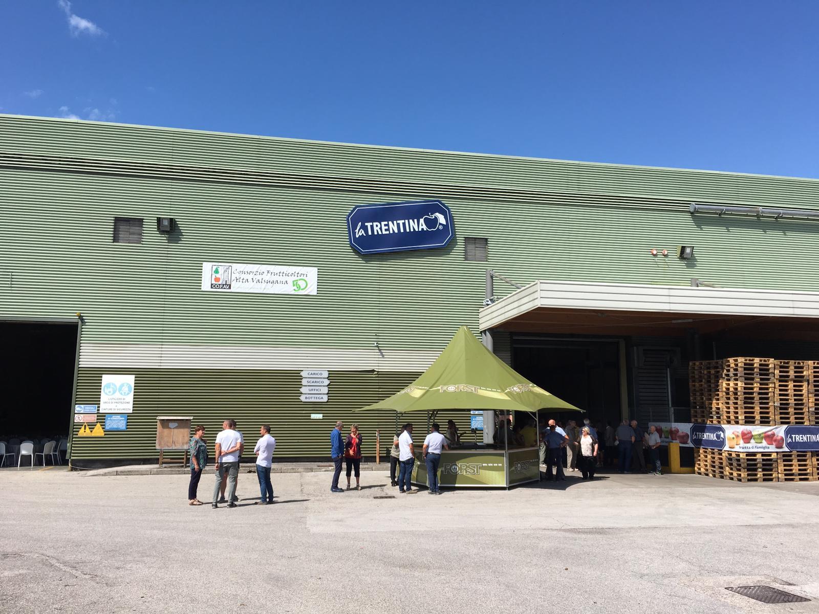 La cooperativa Cofav (Consorzio frutticoltori Alta Valsugana) di Caldonazzo ha festeggiato i suoi primi 50 anni. Ieri presso il magazzino di Viale Trento a Caldonazzo la &quot;festa di compleanno&quot; con il vicepresidente e assessore alla cooperazione Mario Tonina, la presidente della Cooperazione trentina Marina Mattarei, i presidenti di Apot e de La Trentina ed i vertici della Cofav. 