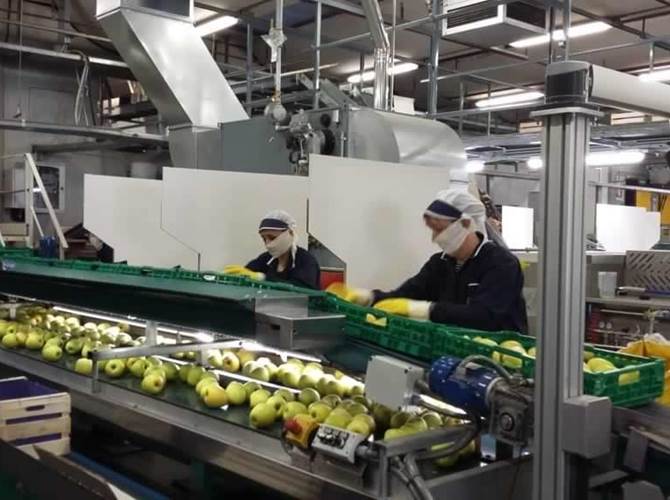 La Trentina, vicinanza al territorio e tutela delle persone La situazione di crisi vissuta a causa della pandemia, non ha interrotto le attività del Consorzio che si è fin da subito attrezzato per tutelare la sicurezza di soci e collaboratori ma, allo stesso tempo, garantire la fornitura dei propri prodotti all’interno dei punti vendita.