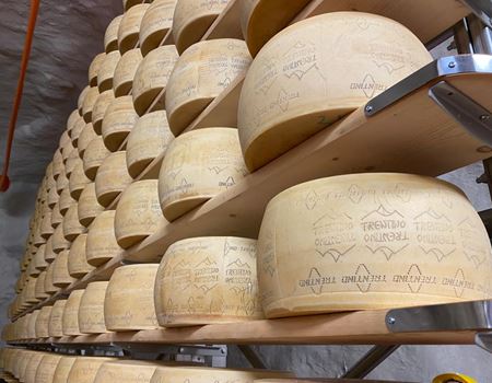 Le forme di Trentingrana