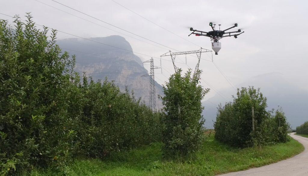 Concluso il progetto di sperimentazione Fem che ha previsto l’analisi di fattibilità dell’applicazione della tecnica del maschio sterile per il controllo della mosca mediterranea della frutta.