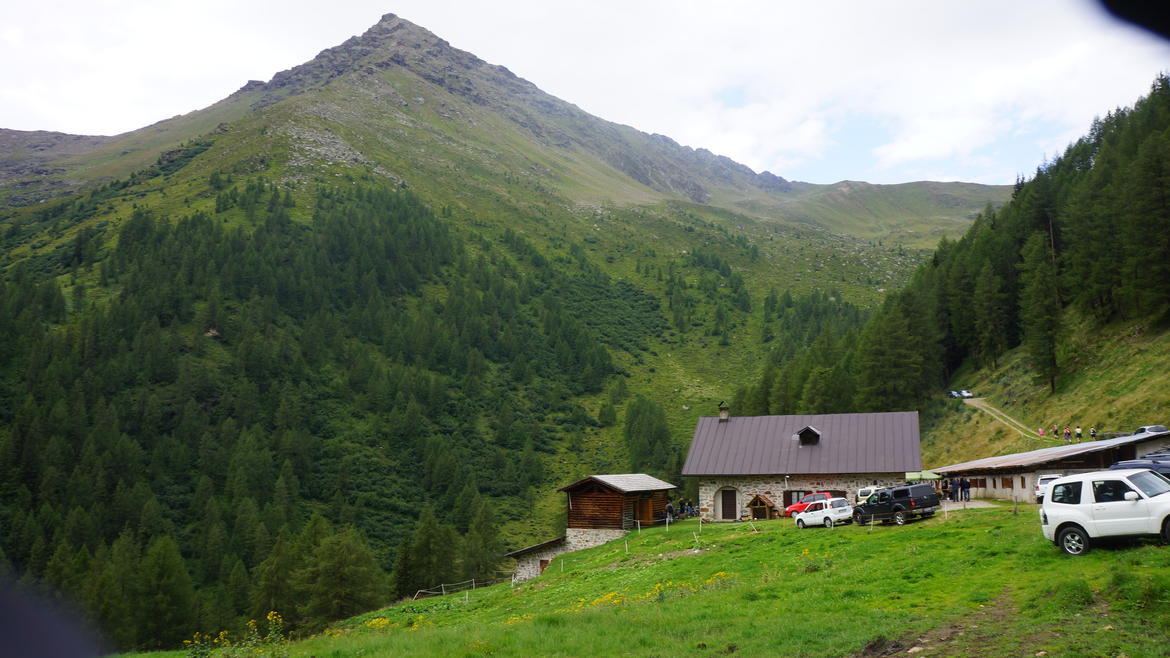 Favorire il consumo dei prodotti trentini, gestire la presenza di orsi e lupi e far fronte ai maggiori costi dell’agricoltura di montagna: questi gli importanti temi emersi oggi nell’incontro tra il governatore Ugo Rossi, gli assessori provinciali Michele Dallapiccola e Carlo Daldoss e gli allevatori della Val di Sole, nella splendida cornice della malga Cercen, in Val di Rabbi.