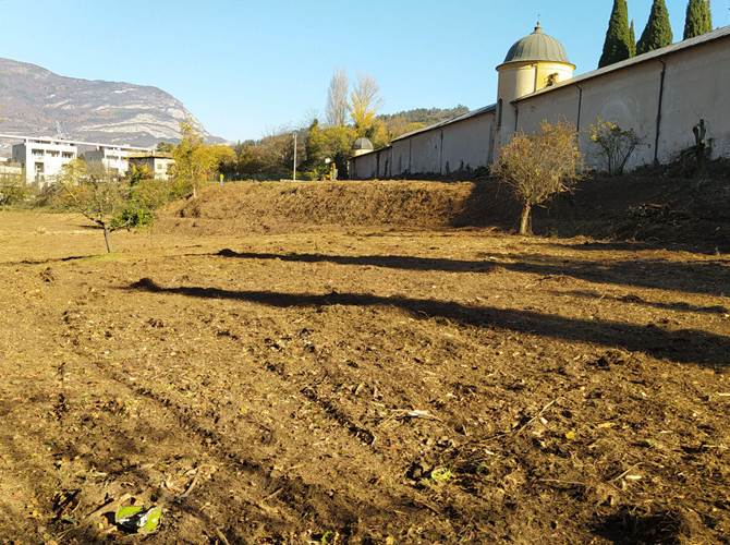 Progetto di agricoltura sociale e di riscoperta del baco da seta a Rovereto L'intervento sta muovendo i primi passi sull'area ex Salvaterra alle spalle del cimitero di San Marco. Capofila l'Azienda agricola Lagarina, che avrà come partner sociale la cooperativa Amalia Guardini che ha maturato una decennale esperienza nella coltivazione di orti. Previsto anche lo svolgimento di un'attività didattica rivolta agli studenti e agli ospiti della città.