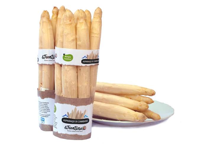 Iniziano le vendite dell'asparago bianco di Zambana a marca La Trentina Con la chiusura del canale ristorazione in questa emergenza sanitaria, l’asparago di Zambana rischia una stagione di estrema difficoltà. Il Consorzio La Trentina ed il sistema frutticolo Apot intervengono assumendone la commercializzazione a sostegno di questa eccellenza del territorio.