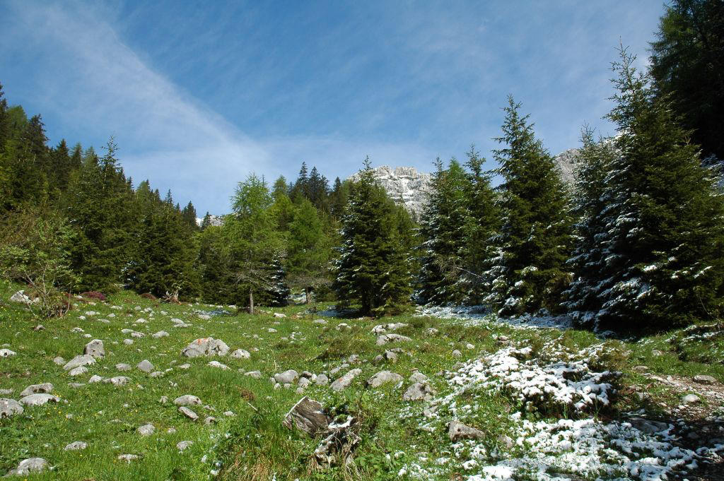 Finanziare iniziative volte a migliorare la biodiversità dei paesaggi agricoli ed a ripristinare gli habitat di alto valore naturalistico. E’ uno degli obiettivi del Piano di sviluppo rurale 2014-2020, nell'ambito del quale sono previsti quest'anno due bandi. 