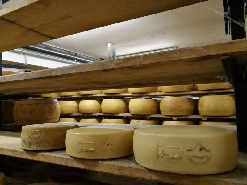 Focus a Palazzo Roccabruna sul progetto che ha consentito di migliorare la qualità del formaggi di malga grazie ai fermenti autoctoni selezionati da Fondazione Edmund Mach.